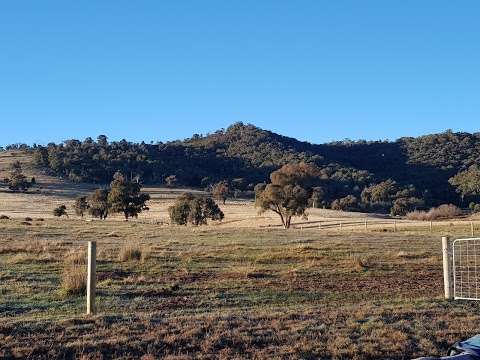 Photo: McCormack's Mountain Valley Trail Rides